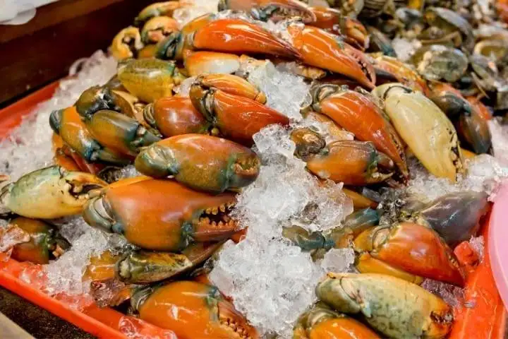 Frozen Stone Crab Claws